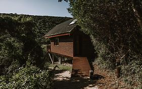 Thunzi Bush Lodge